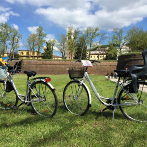 Guided Cycling experience through Lucca countryside 