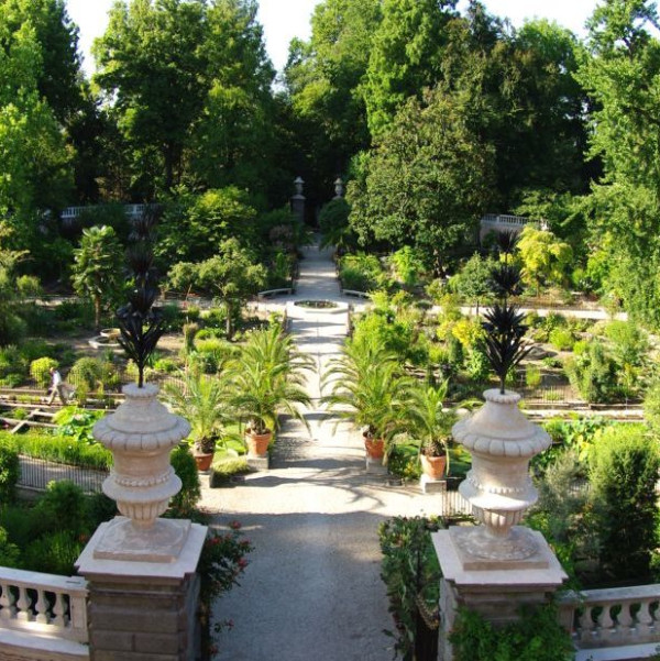 Tour of the Padua Botanical Garden