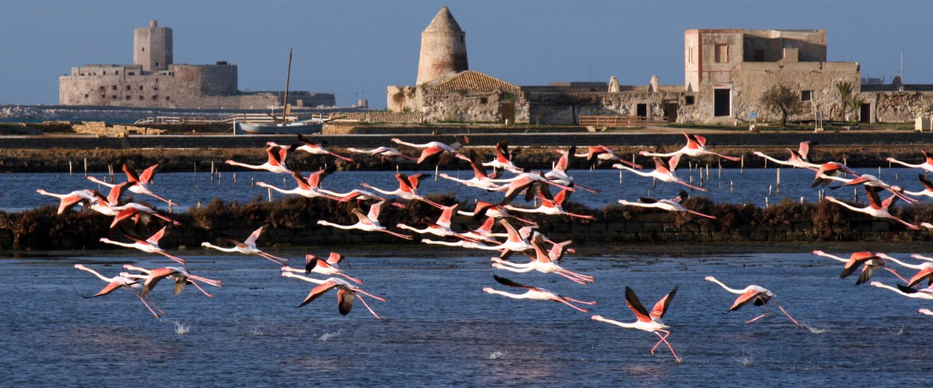 Trapani