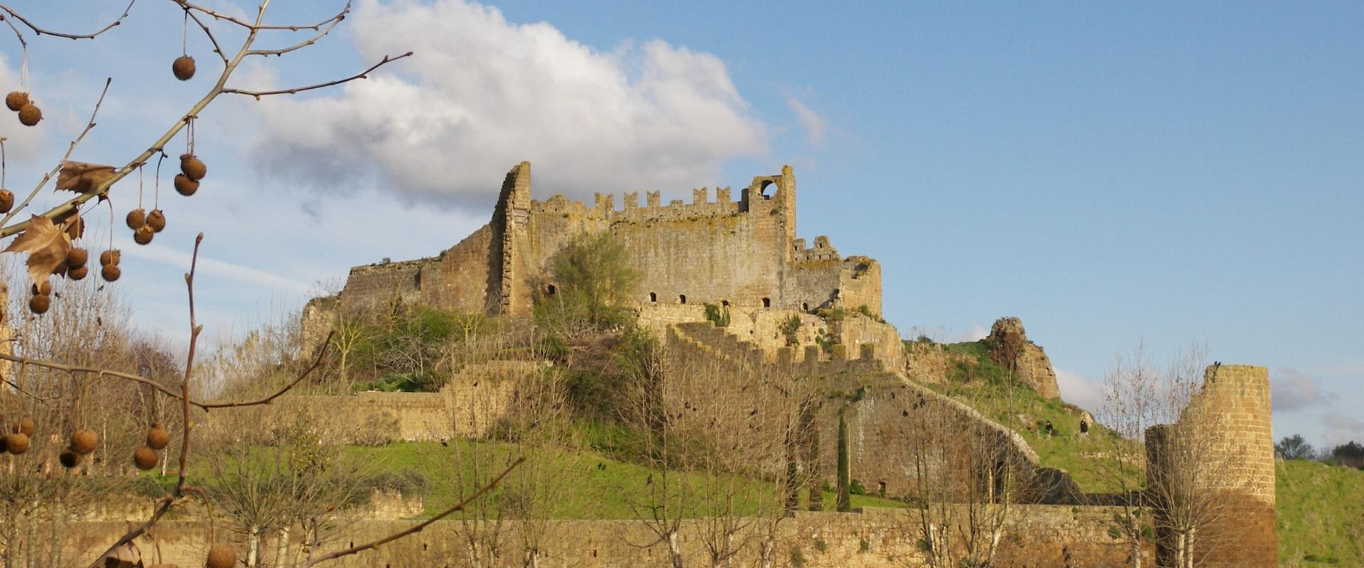 Tuscania Tuscania