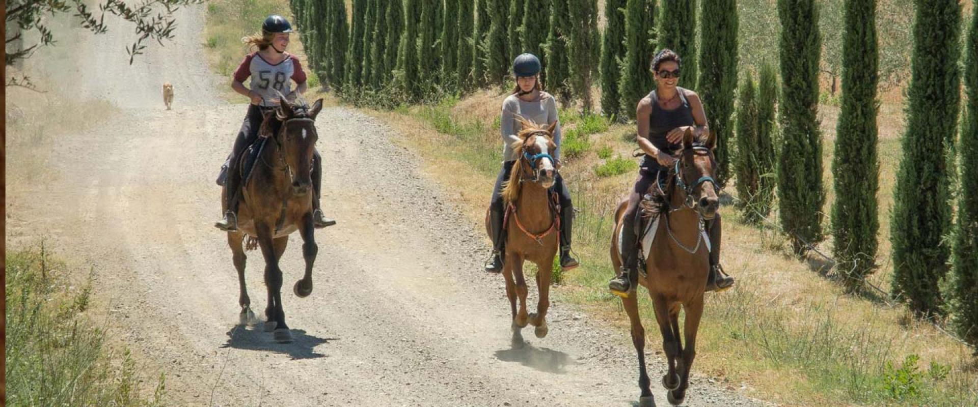 horse riding horse riding in Maremma