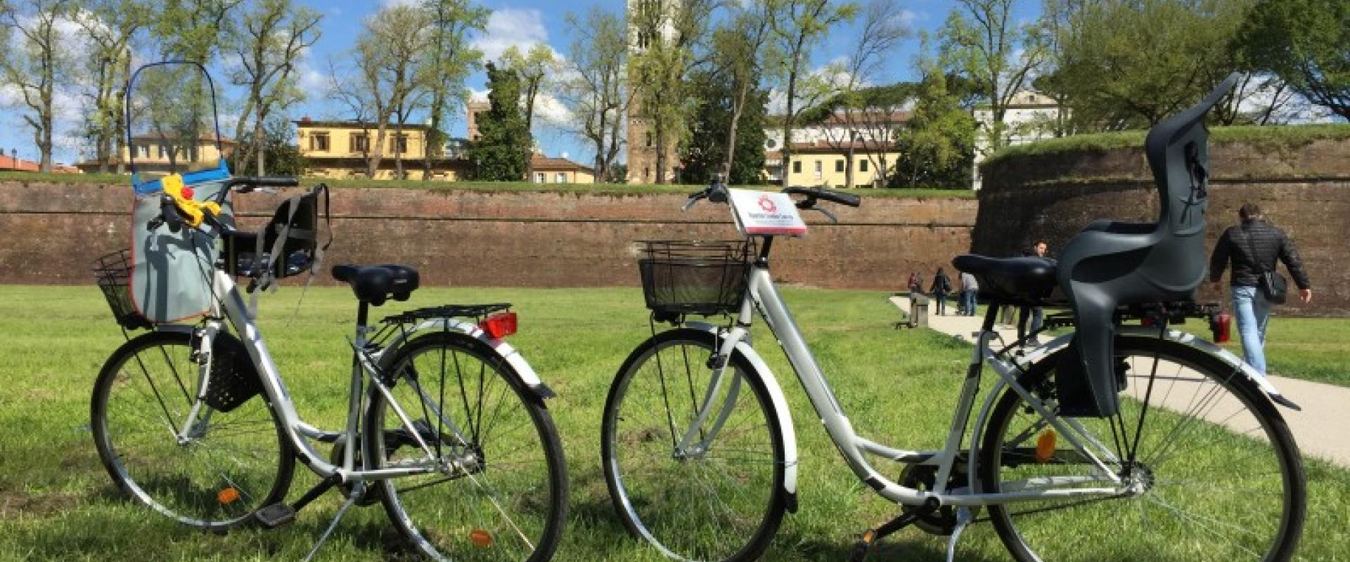 Guided Cycling experience through Lucca countryside