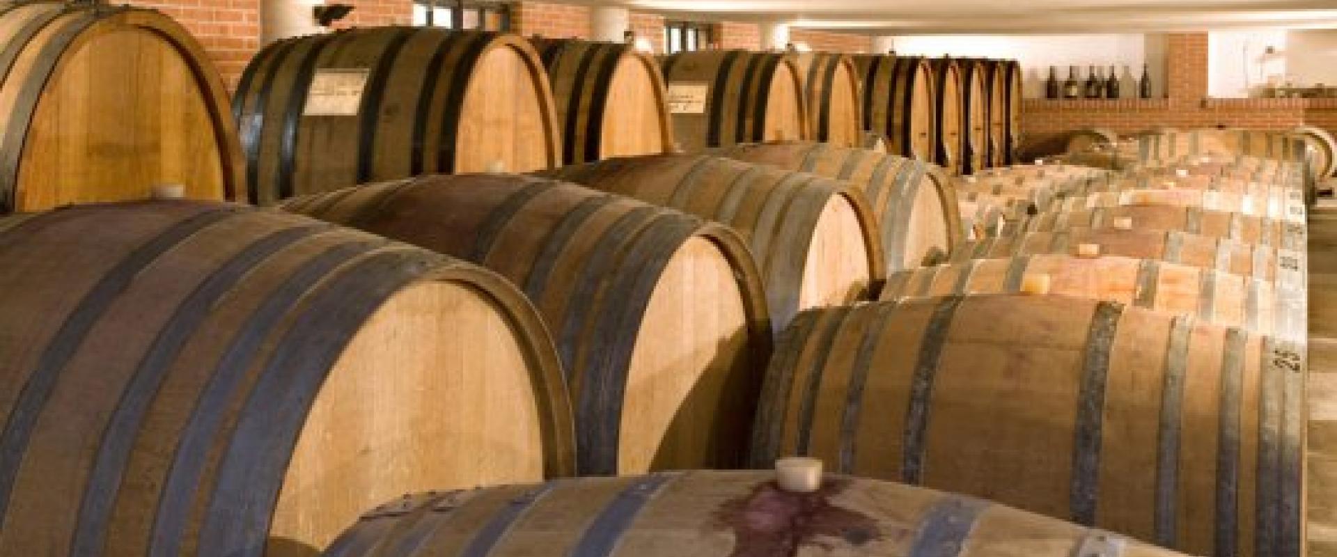 wine cellar tasting of wine in Langhe
