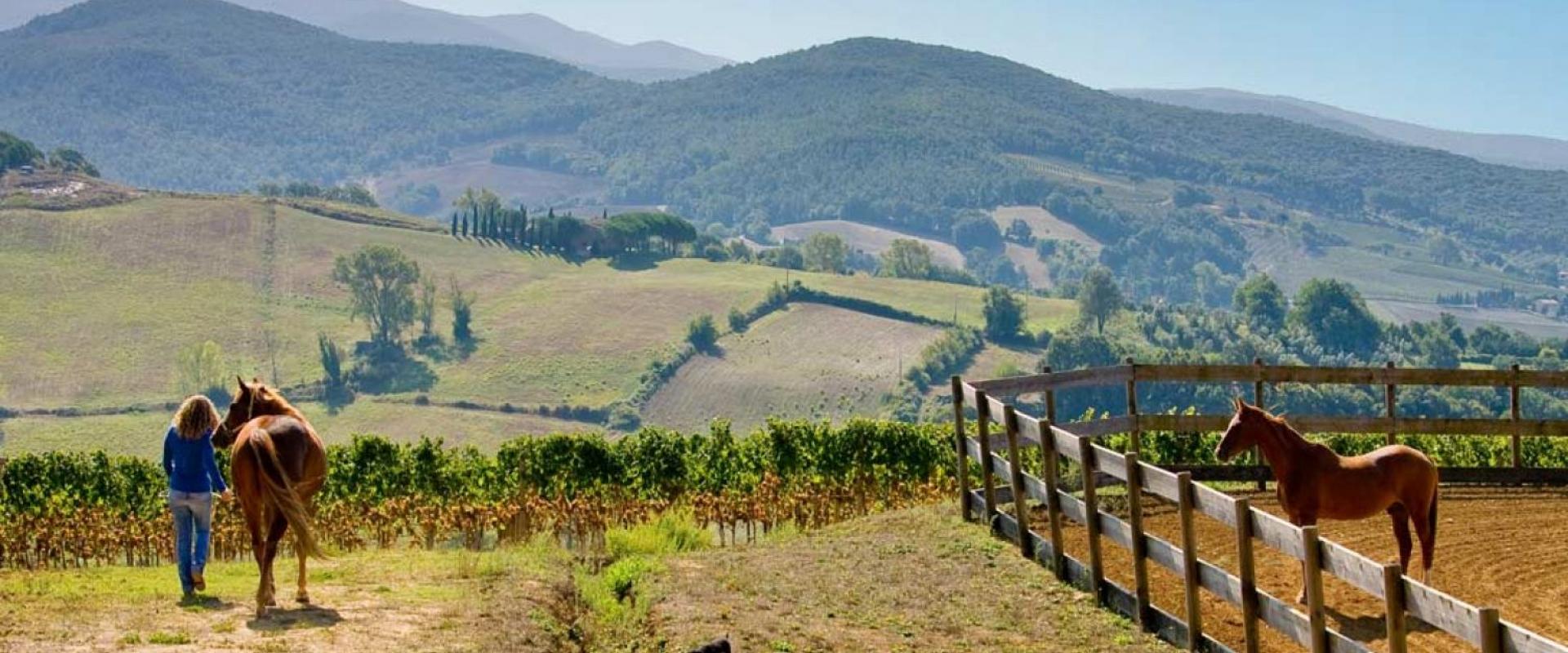 horse riding in Maremma