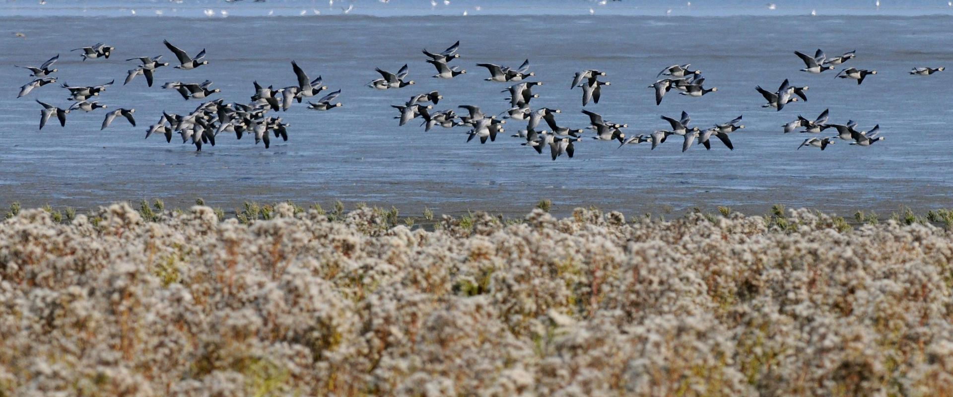 trekking on natural reserve of dune feniglia