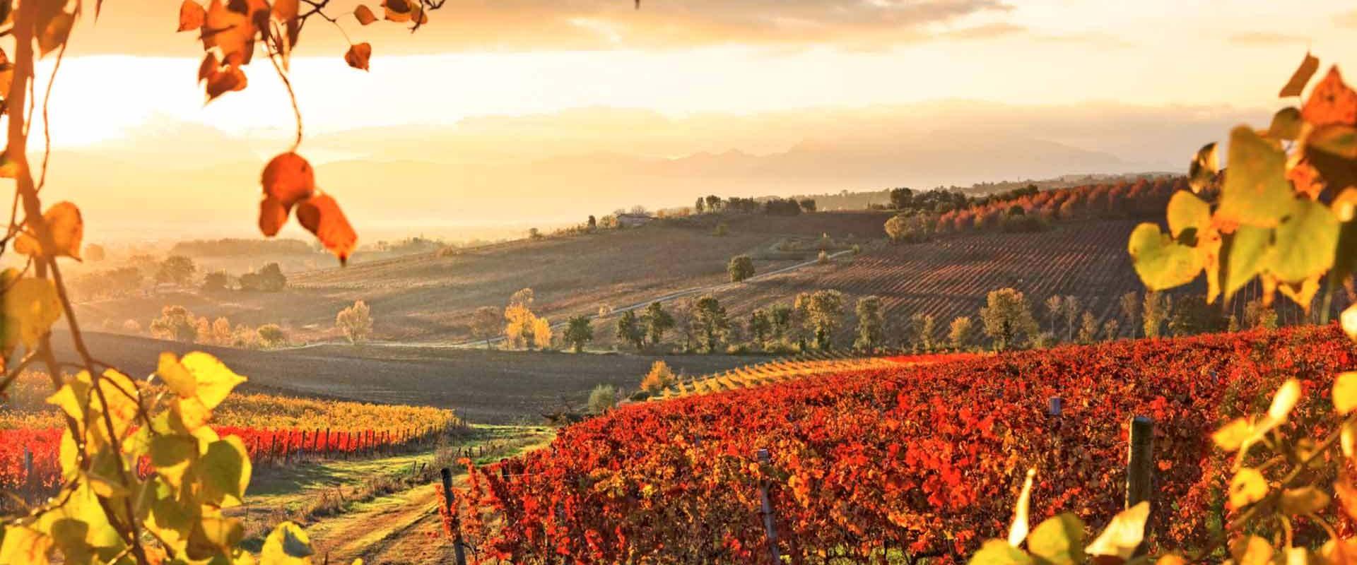 sagrantino Sagrantino streets