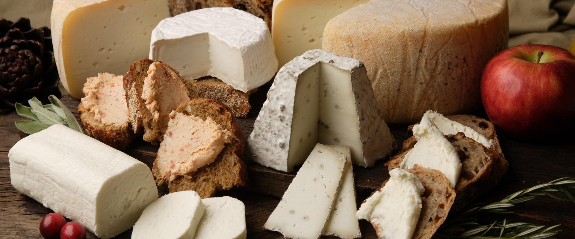 cheeses tasting in Castel del Monte