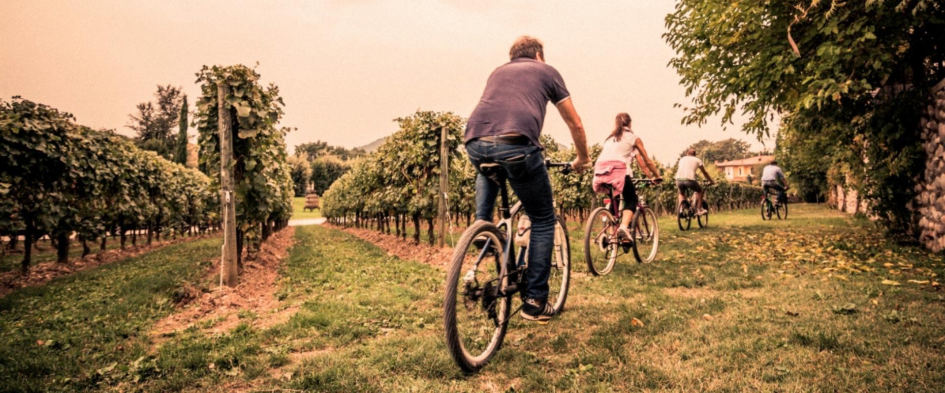 bike bike experience in Franciacorta