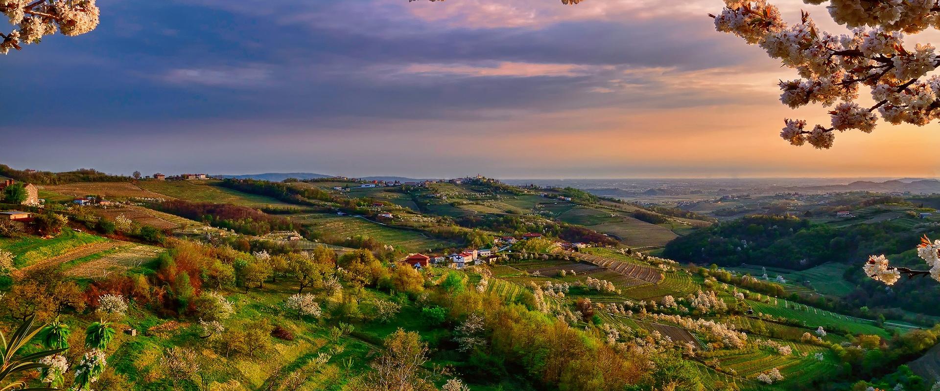Tour Veneto  Where the wine become poetry!