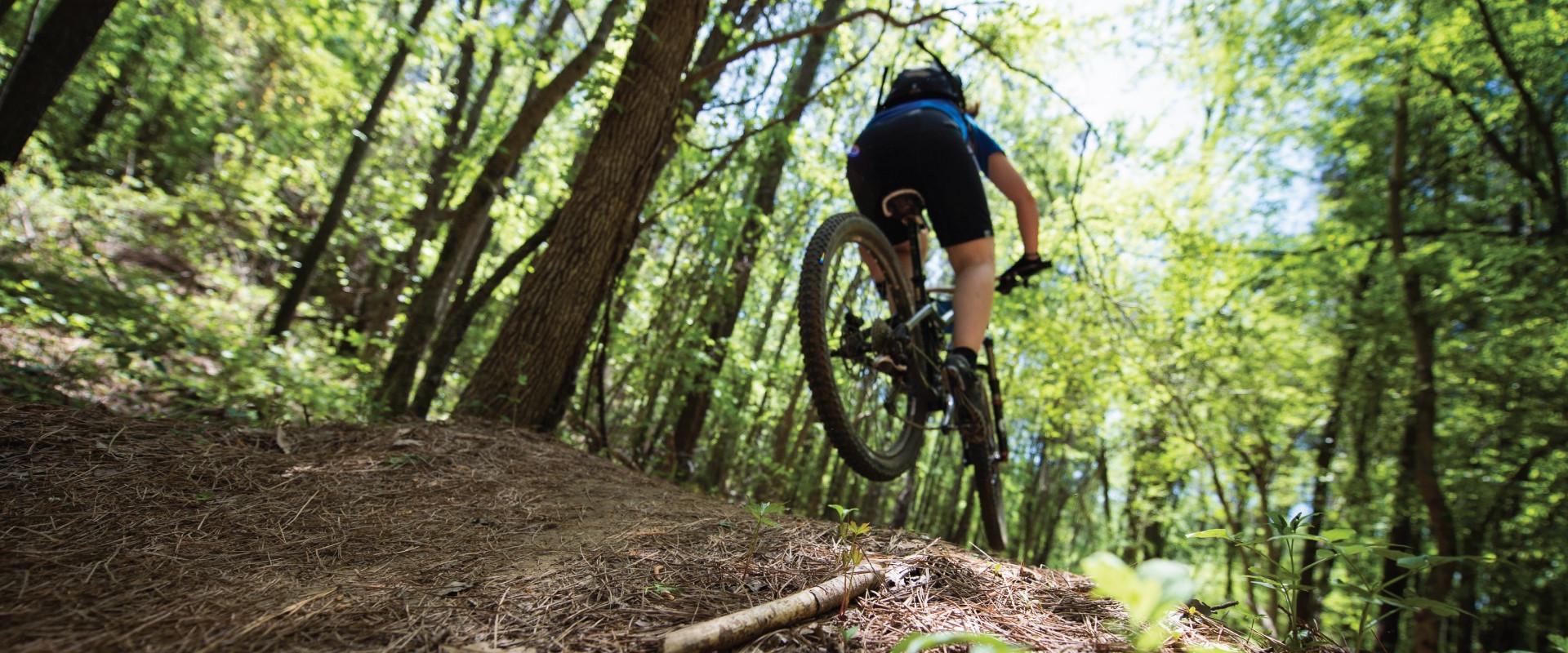 cycling in casentino