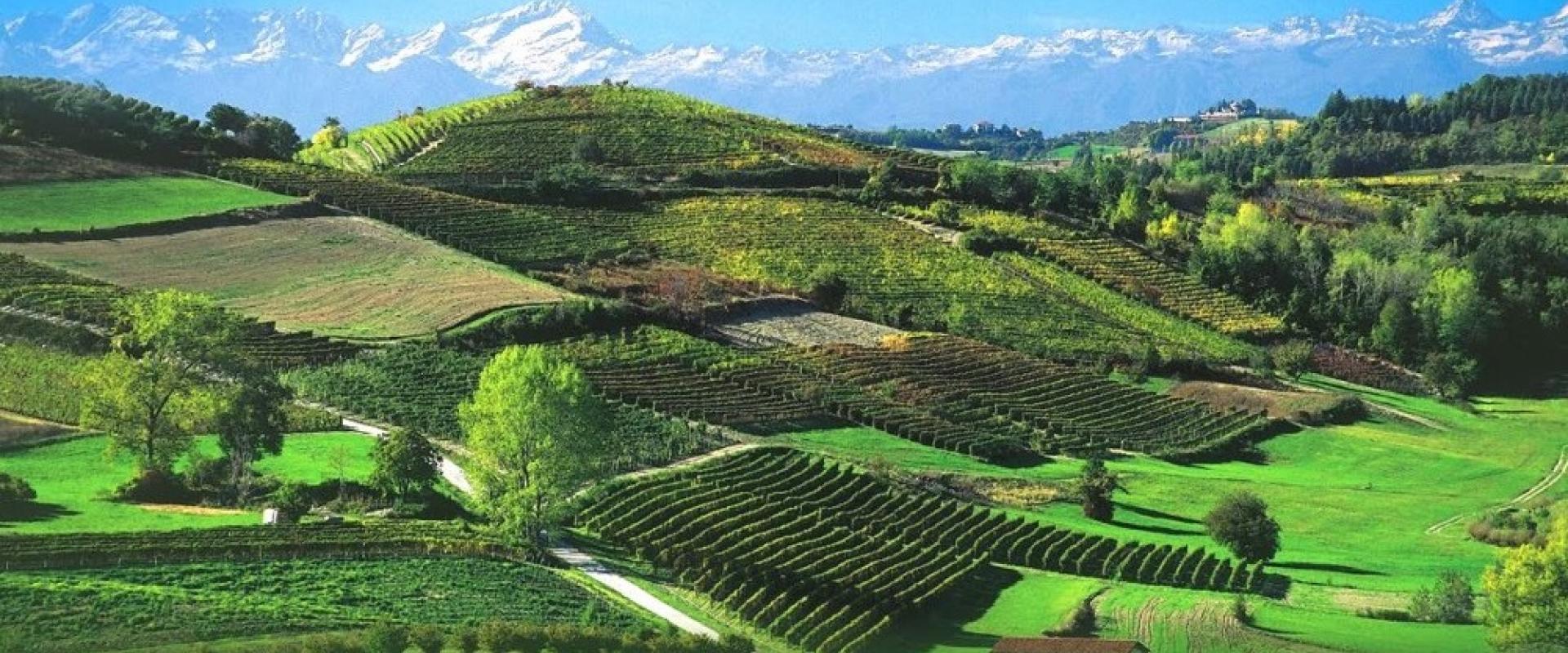 Langhe Langhe