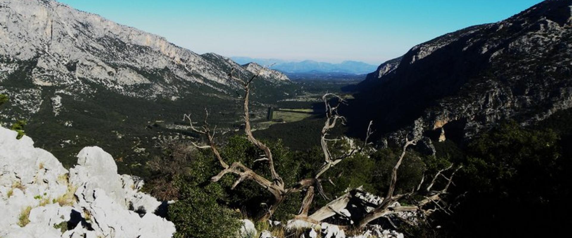 trekking on Monte Corrasi