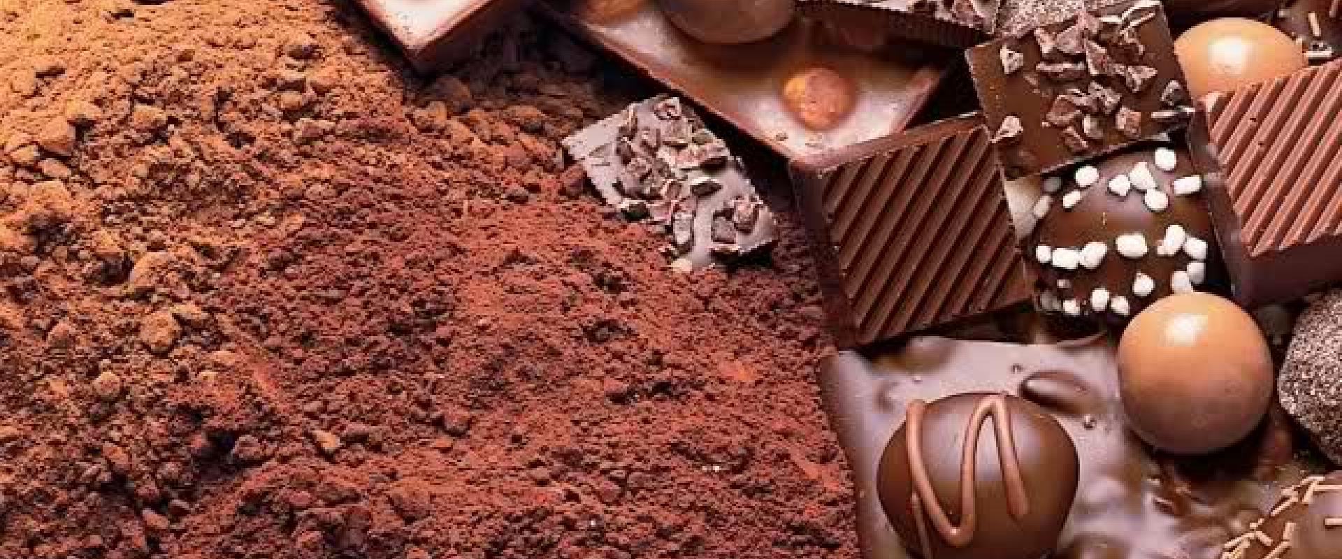 chocolate Cooking class at chocolate school