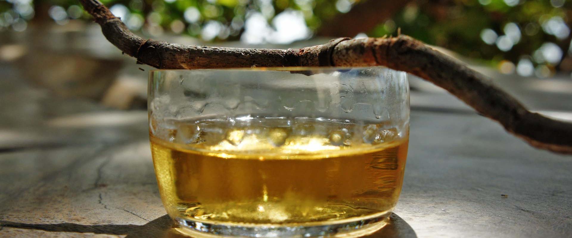 Tasting of typical "Sciacchetrà" wine, A typical ligurian "Passito"!