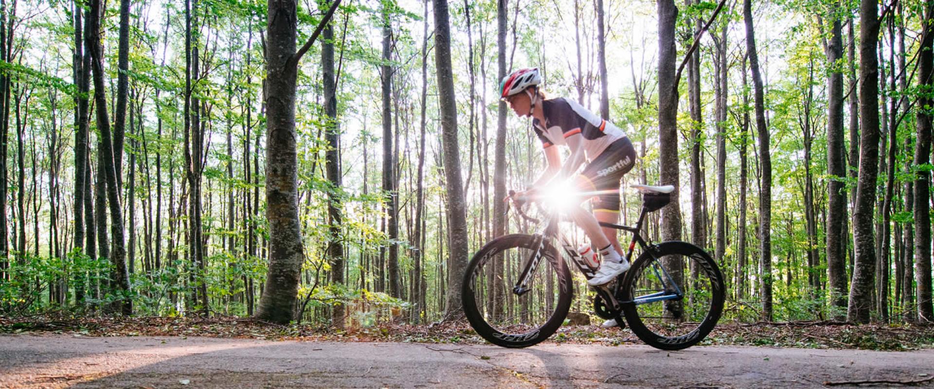 Bike experience in Garda lake