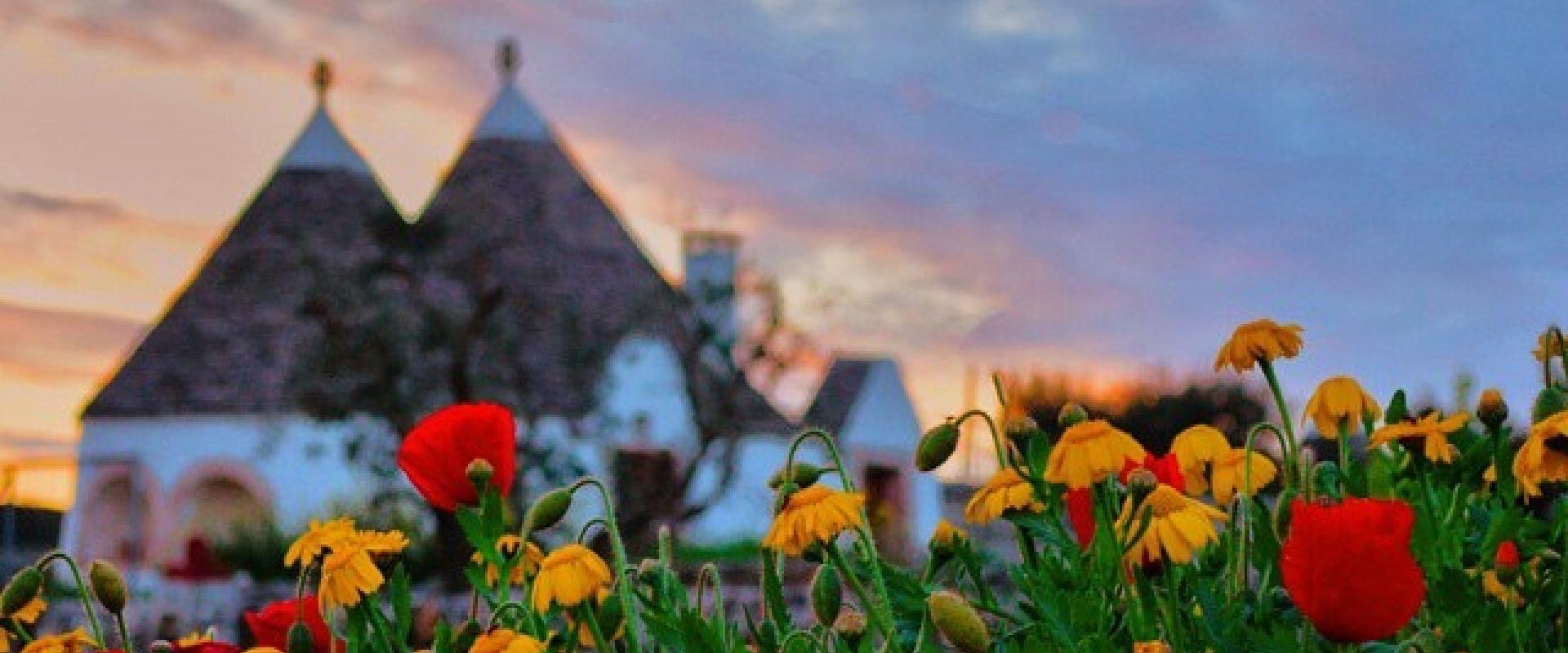 Tour Apulia Basilicata