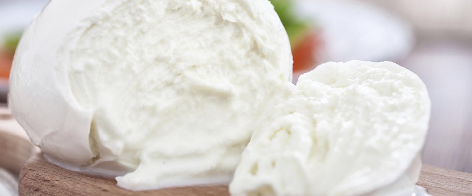 Visit of a dairy farm of organic Buffalo milk mozzarella in Paestum. Visit of a dairy farm of organic Buffalo milk mozzarella in Paestum.