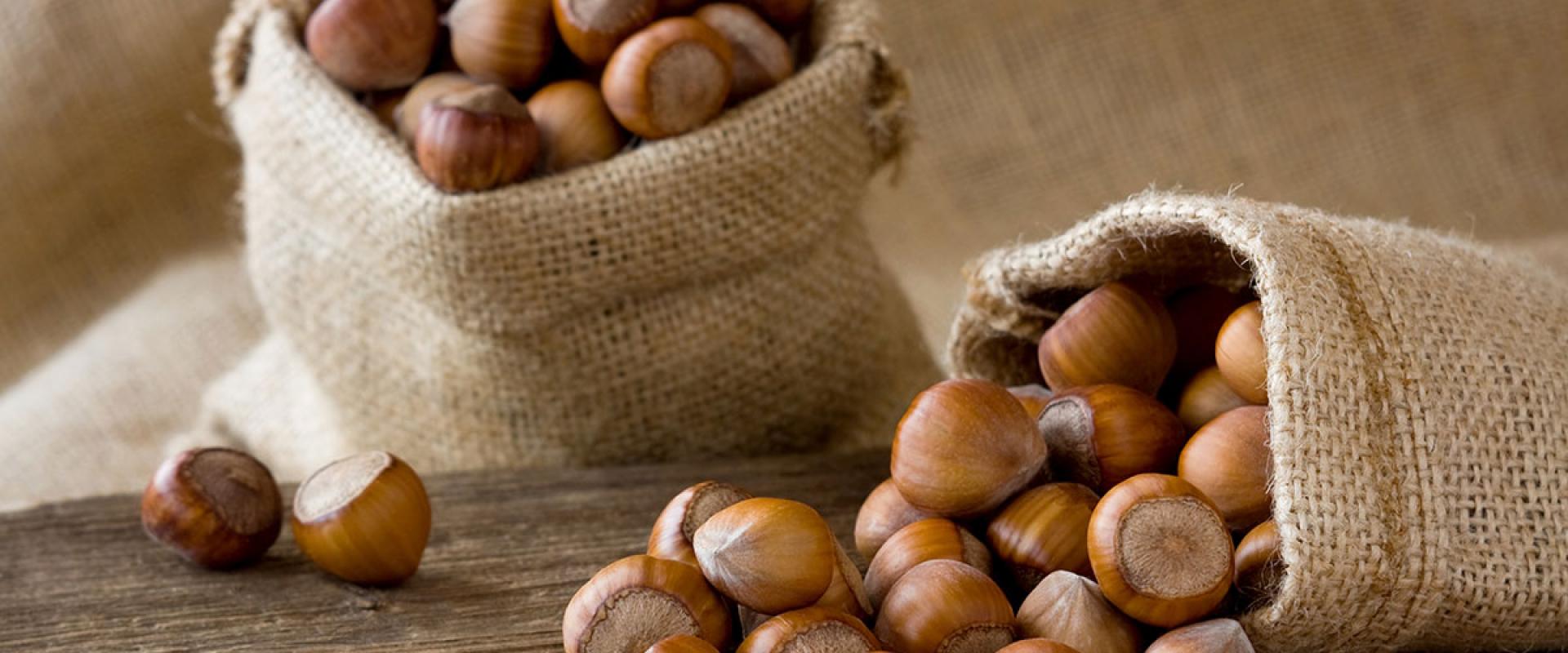 Experiential visit at the Hazelnut Orchard and cooking laboratory