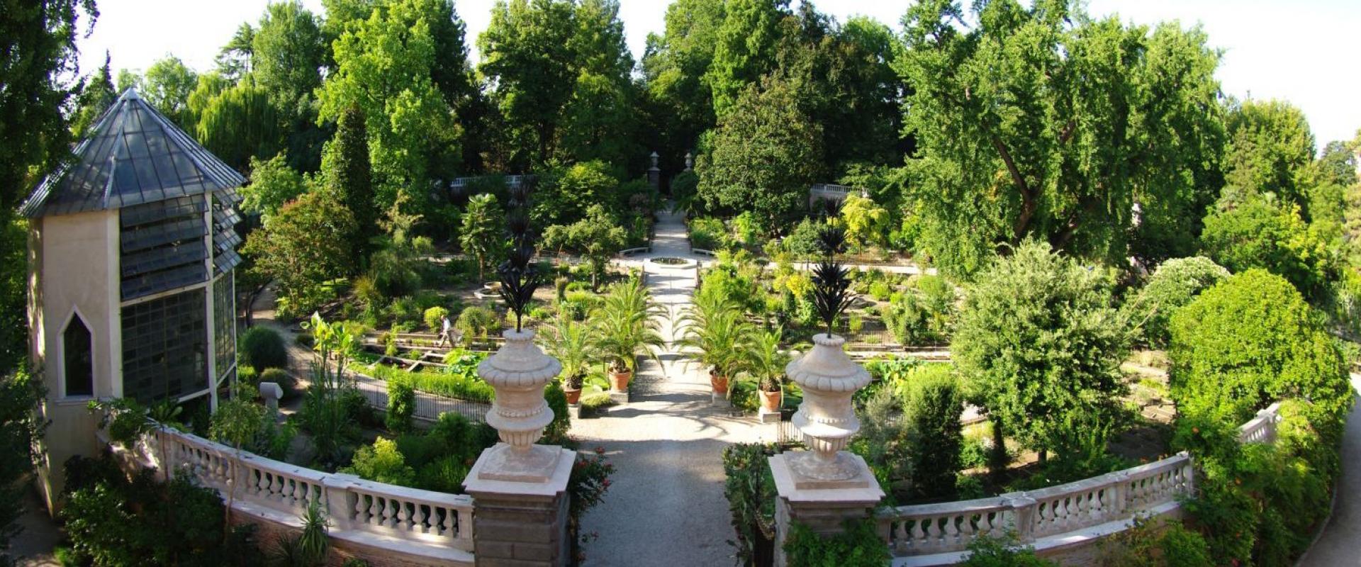Botanical garden tour of the botanical garden of Padua
