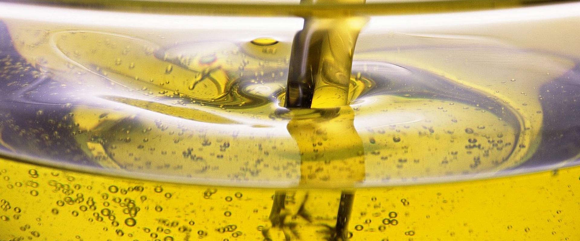oil tasting oil tasting in Iseo Lake