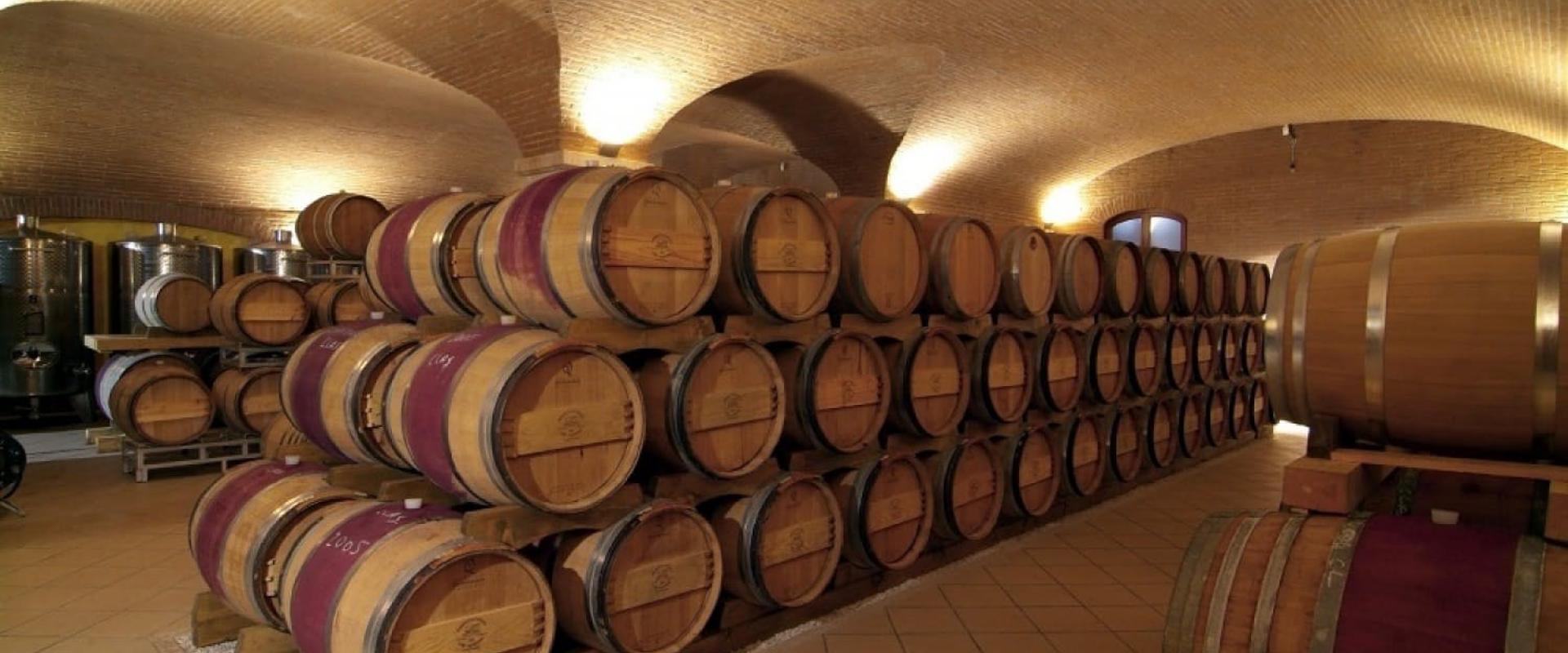 wine cellar Valpolicella tasting in venetian estate