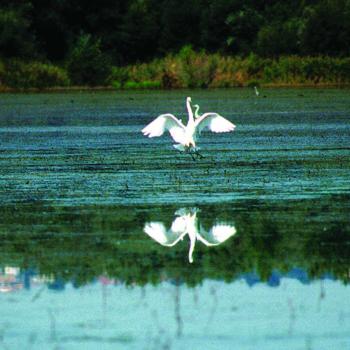 The Great Photographic Contest in the WWF Oasis of Alviano