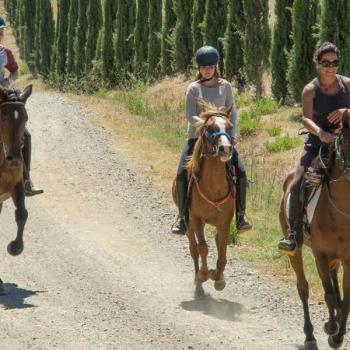 horse riding in Maremma