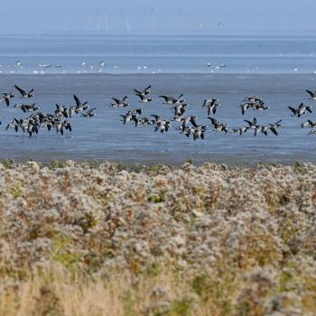 trekking on natural reserve of dune feniglia