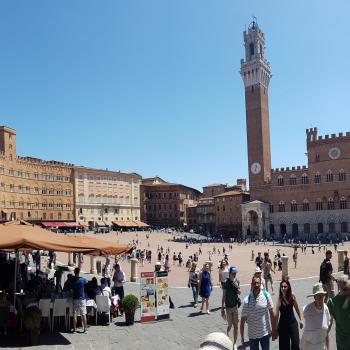 piazza del campo siena