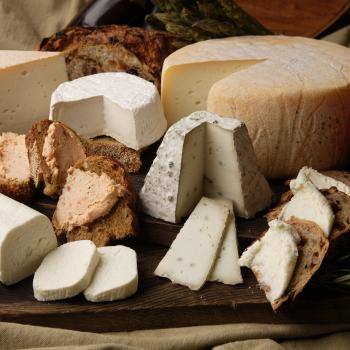 cheeses tasting in Castel del Monte