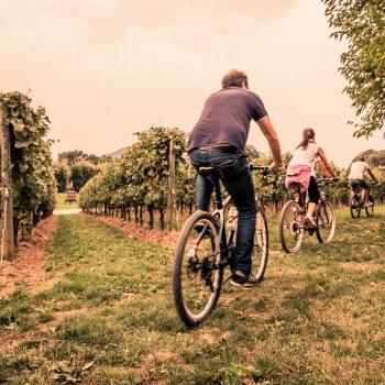 bike experience in Franciacorta