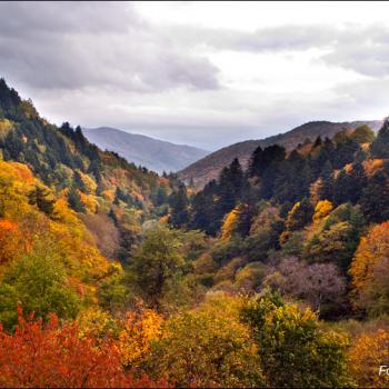 Trekking in casentino area