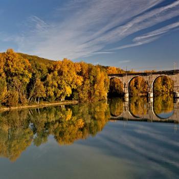 Hiking experience into the reserve of the Isonzo River and Isola della Cona 