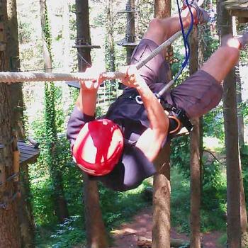 Adventure Park in Valnerina An adventure among the trees!