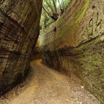 road of tufo Tuscany