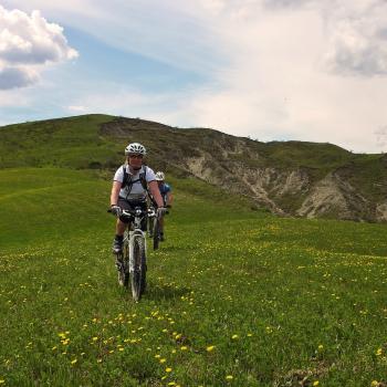 Mountain bike experience in Umbria