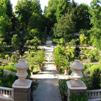 tour of the botanical garden of Padua