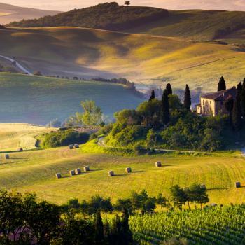 Vineyards in Tuscany